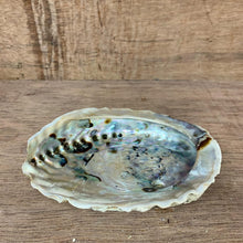 Load image into Gallery viewer, Pearl Shell