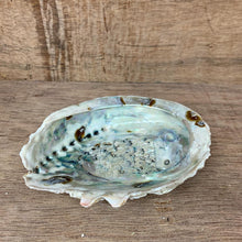 Load image into Gallery viewer, Pearl Shell