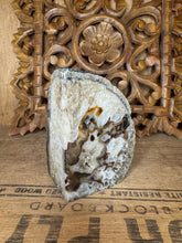 Load image into Gallery viewer, Agate Svartur/Brúnn
