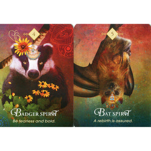 The Spirit Animal Oracle (Pocket Size) - Colette Baron-Reid