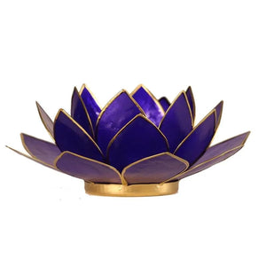 Lotus Light