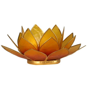 Lotus Light