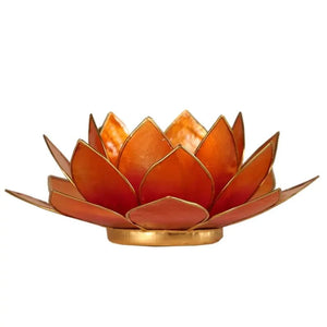 Lotus Light