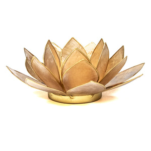 Lotus Light