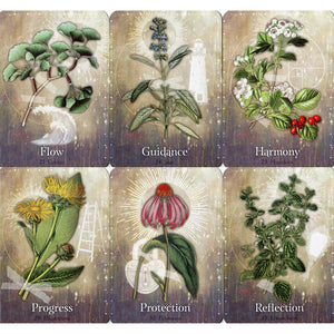 Magickal Herb Oracle - Cheralyn Darcey