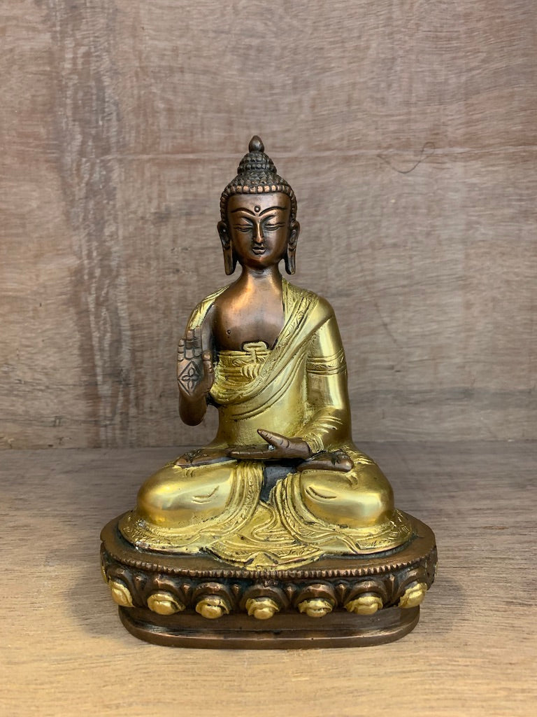 Buddha Teaching