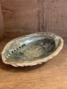 Pearl Shell