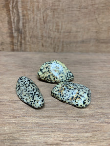 Dalmatian
